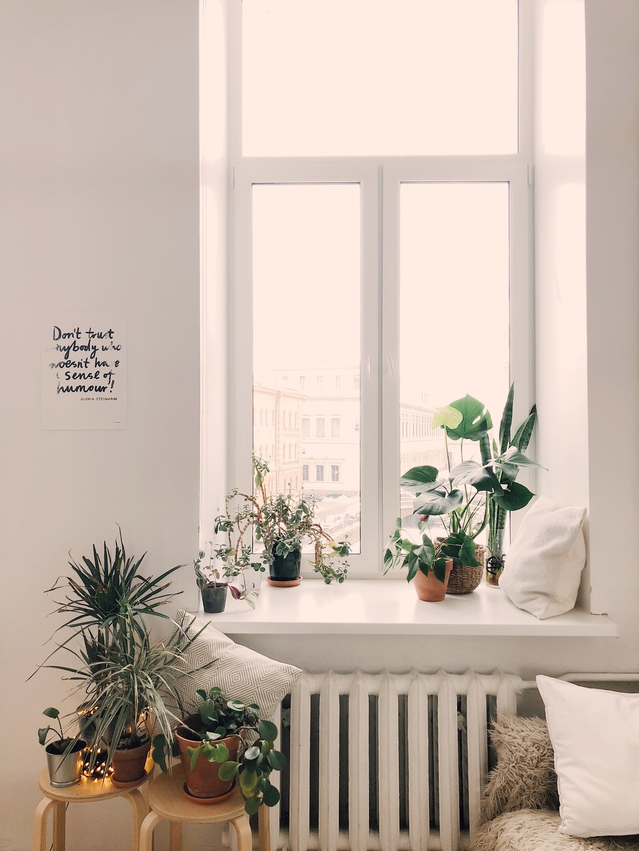 Décoration d’intérieur : quelles plantes pour décorer son appartement ?