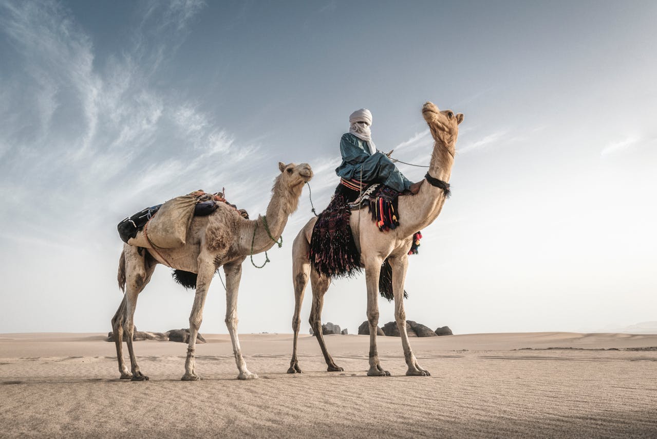 L’Algérie : un joyau à découvrir entre amies
