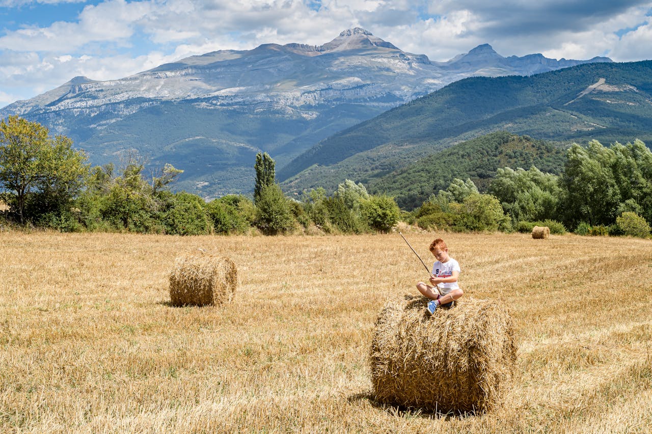 Une escapade familiale au cœur des Pyrénées pour les passionnés de fiction et de documentaire